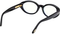 FT6067-B 001