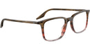 RB5421 Optics 8251