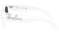 Wayfarer Puffer RB4940B 686387
