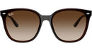 RB4423D 714/13 Brown