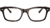 Mr Burbank Optics RB5383 2012