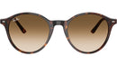 Bernard RB2230 902/51 Havana