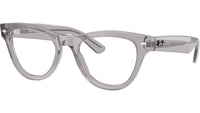 RB5510 Optics 2102