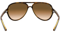 Cats 5000 Classic light havana