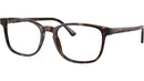 RB5418 Optics 2012