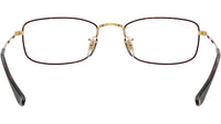 RB6647 Optics 3177