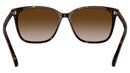 RA5293 50033B Dark Havana