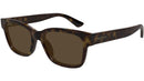 GG1716S 002