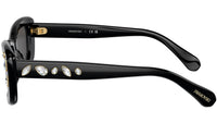 SK6008 100187