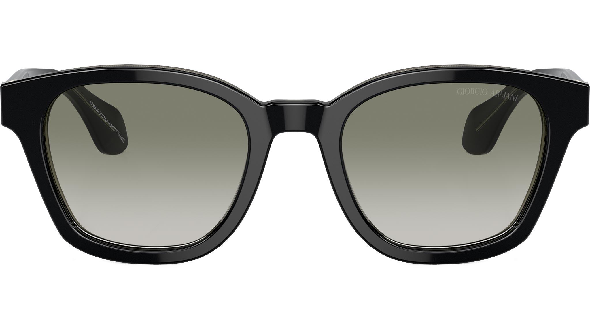 AR 8207 60873M Black Green