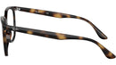 RB4378V Optics 2012