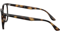RB4378V Optics 2012