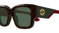GG1663S 002