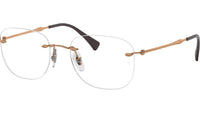 RB8748 Optics 1131