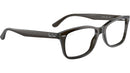 RB5428 Optics 8299