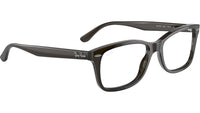RB5428 Optics 8299