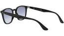 RB4258F 601/19 black