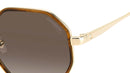 3029/S EX4 HA Brown Horn