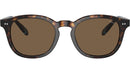 PH4206 500373 Dark Havana