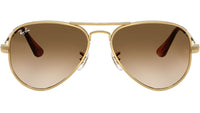 Aviator Max RB3925 001/51