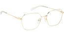 PLD D838 24S