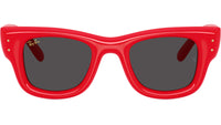 Wayfarer Puffer RB4940 683187
