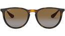 Erika Classic RB4171 gloss tortoise