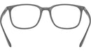 RB7199 Optics 5521