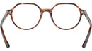 Thalia Optics RB5395 2144