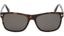Giulio FT0698 52D Dark Havana Grey