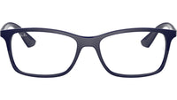 RB7047 Optics 8100