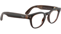 Meta Scriber Optics Gen2