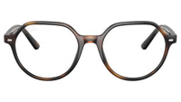 RY9095V 3685 Tortoise