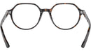 Thalia Optics RB5395 2012