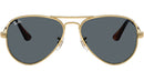 Aviator Max RB3925 001/R5