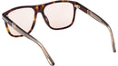 Frances FT1081 52E Havana Beige Brown