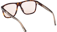 Frances FT1081 52E Havana Beige Brown