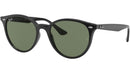 RB4305 601/71 black