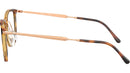 RB4451V Optics 5687