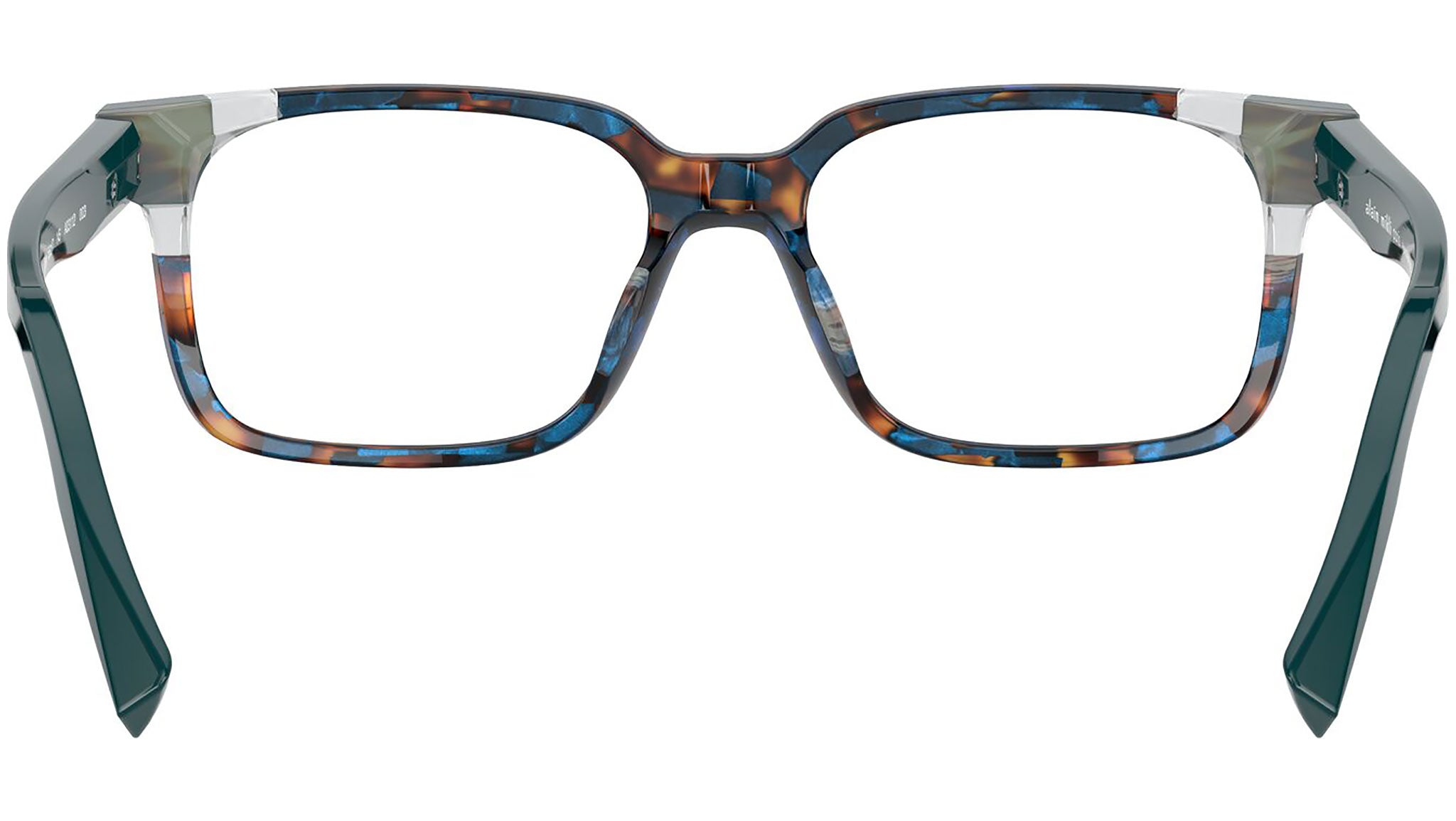 Odon 3112 003 tortoise