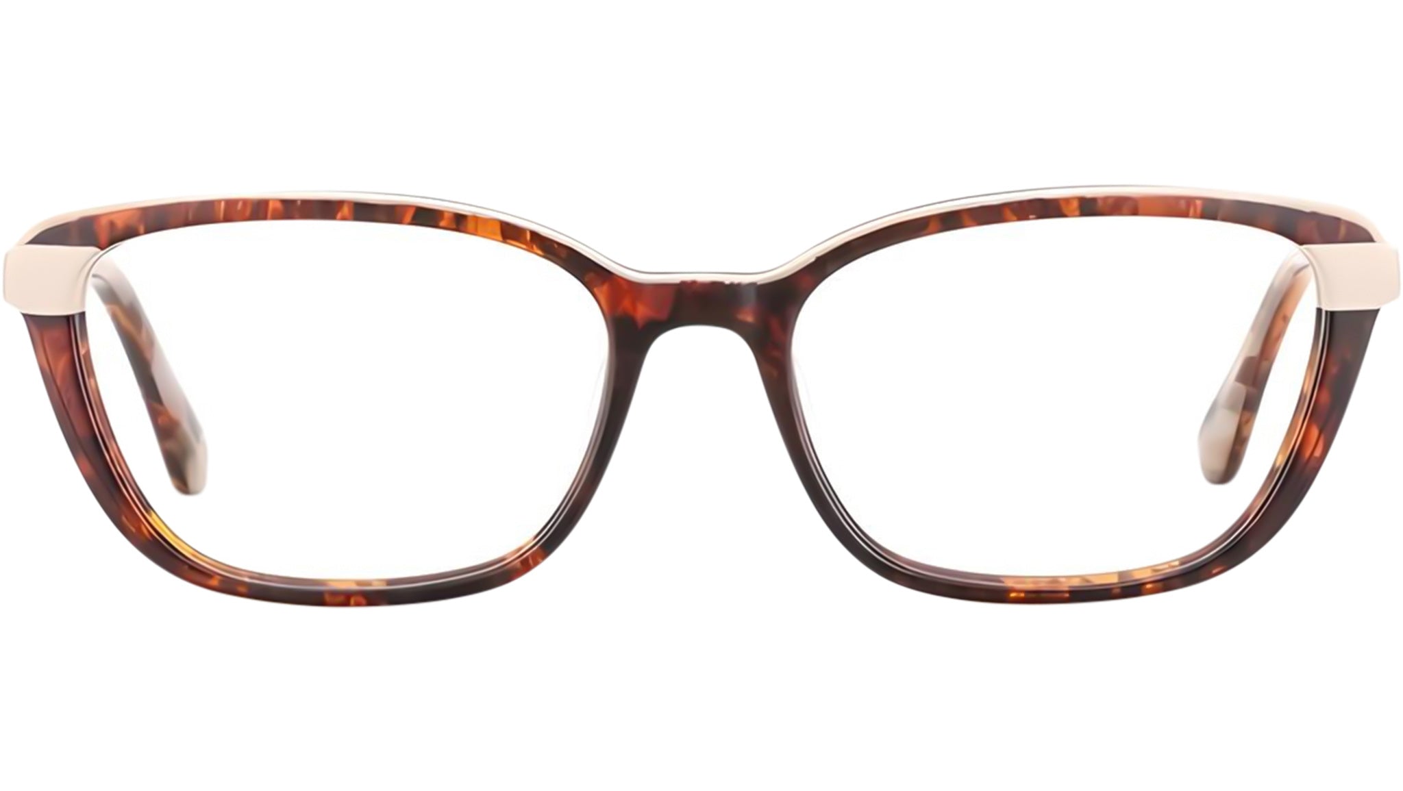 VILLE HVBE Tortoise