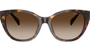 RA5324U 500313 Dark Havana