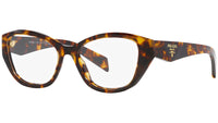 PR 21ZV 14L1O1 honey tortoise