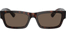 PR A03S 17N08T Tortoise