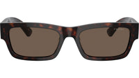 PR A03S 17N08T Tortoise
