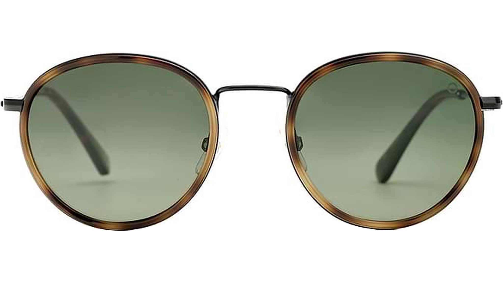 DUMBO HVBK Tortoise