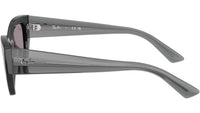 Zena RB4430 69241A