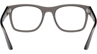RB7228 Optics 8257