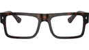 PR A01V 17N1O1 Tortoise