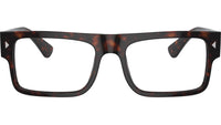 PR A01V 17N1O1 Tortoise
